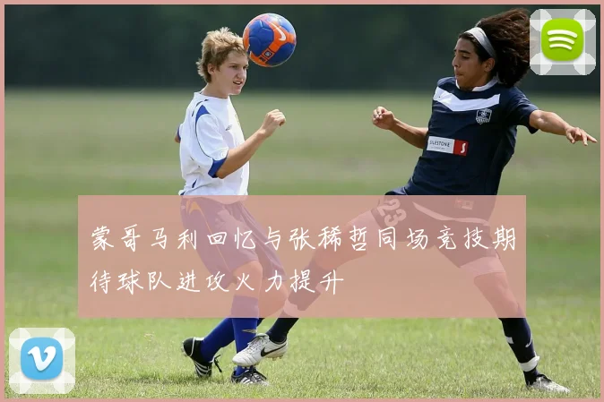 蒙哥马利回忆与张稀哲同场竞技期待球队进攻火力提升